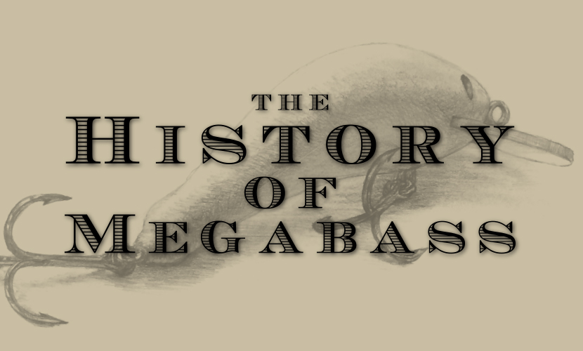 TS72X | Megabass-メガバス