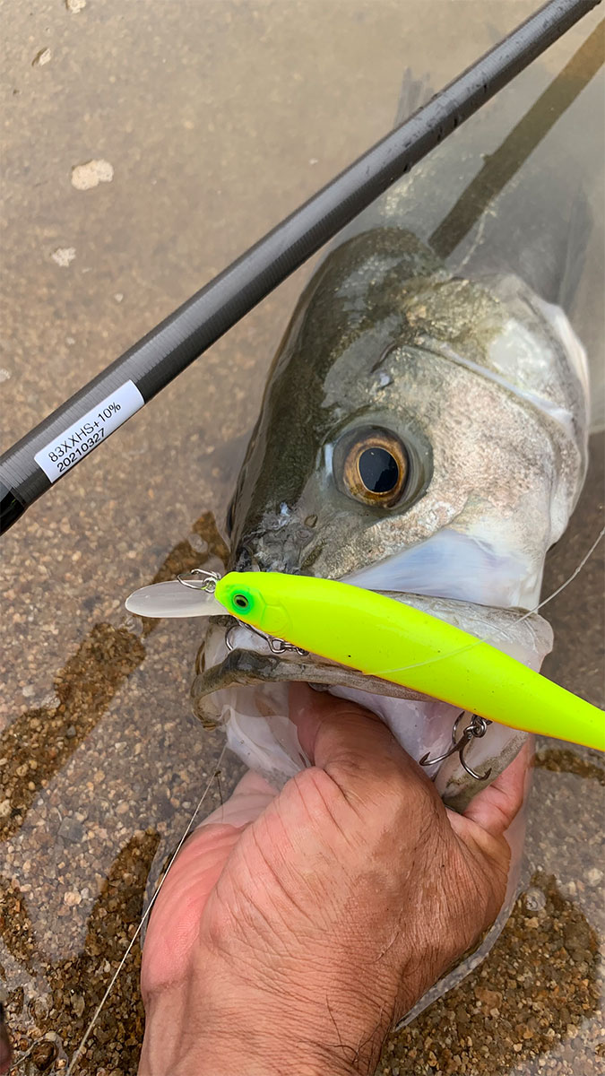 しなやかな剛竿！？空海CK-83XXHSのコンセプトとは？ | Megabass-メガバス