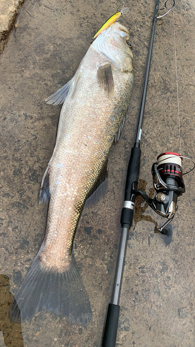 しなやかな剛竿！？空海CK-83XXHSのコンセプトとは？ | Megabass-メガバス