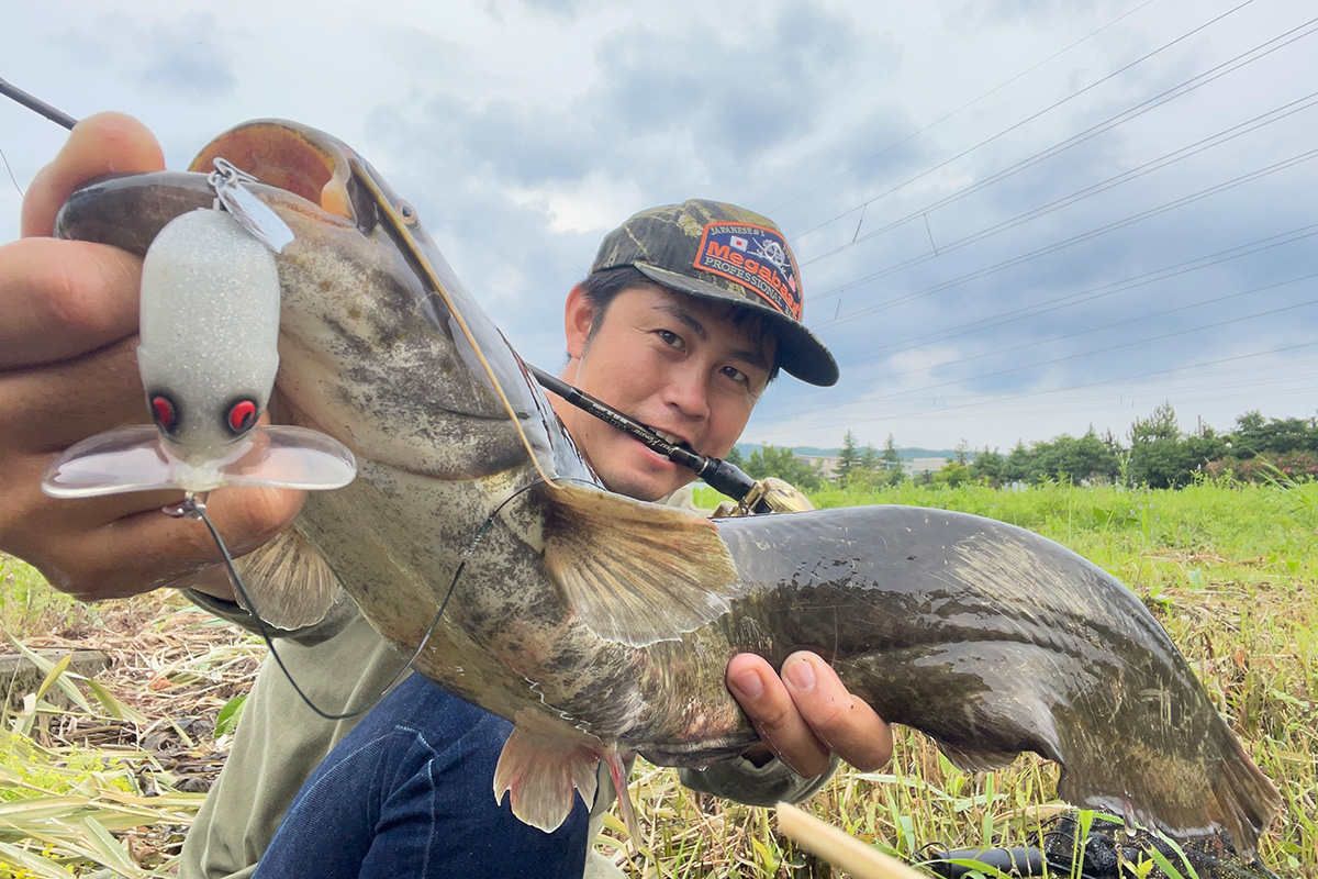 ご近所三大怪魚を狙え！ 怪魚ハンター的「BATRA-X」のトリセツ2022