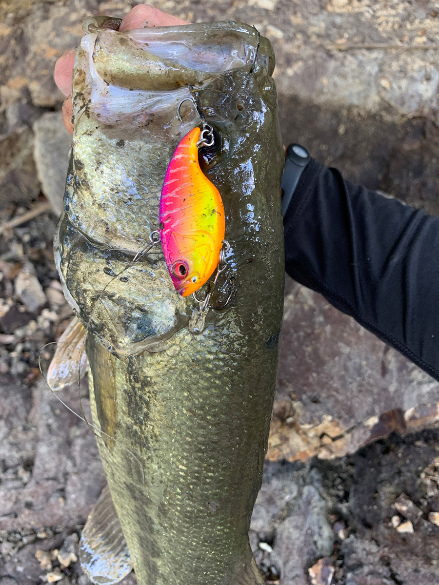 晩秋～厳寒期の一軍ルアーセレクト | Megabass-メガバス