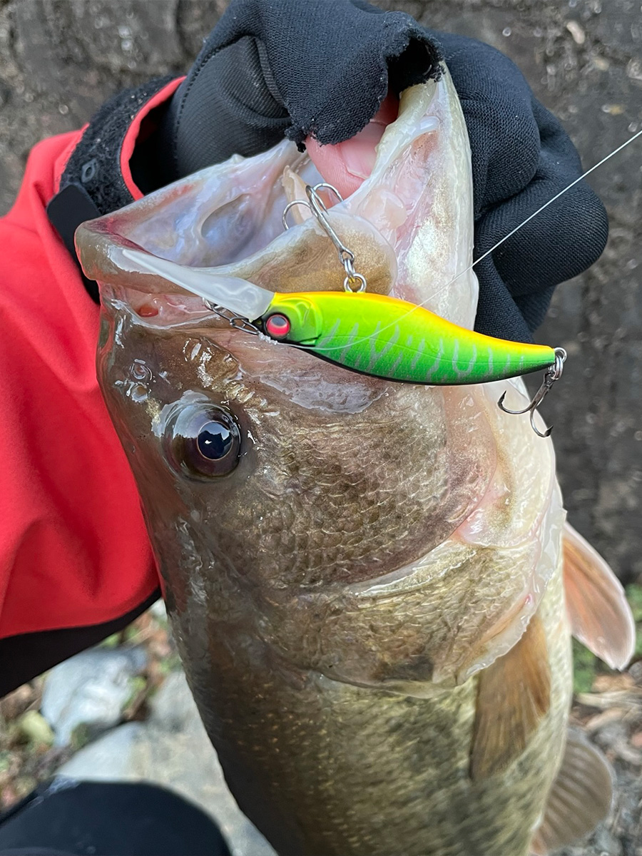 晩秋～厳寒期の一軍ルアーセレクト | Megabass-メガバス