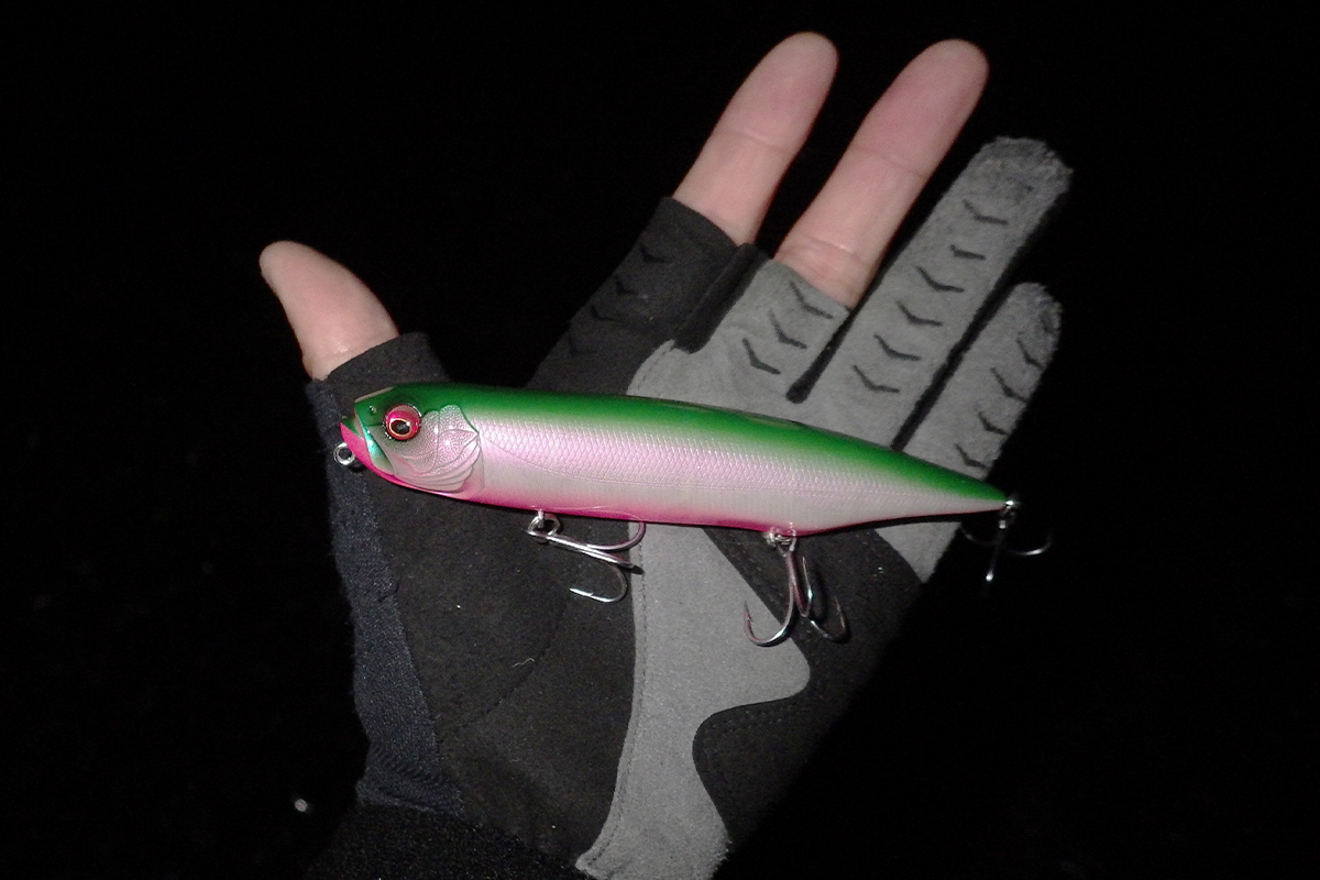 秋に輝くダイヤモンド ～ DOG-X DIAMANTE SW ～ | Megabass-メガバス