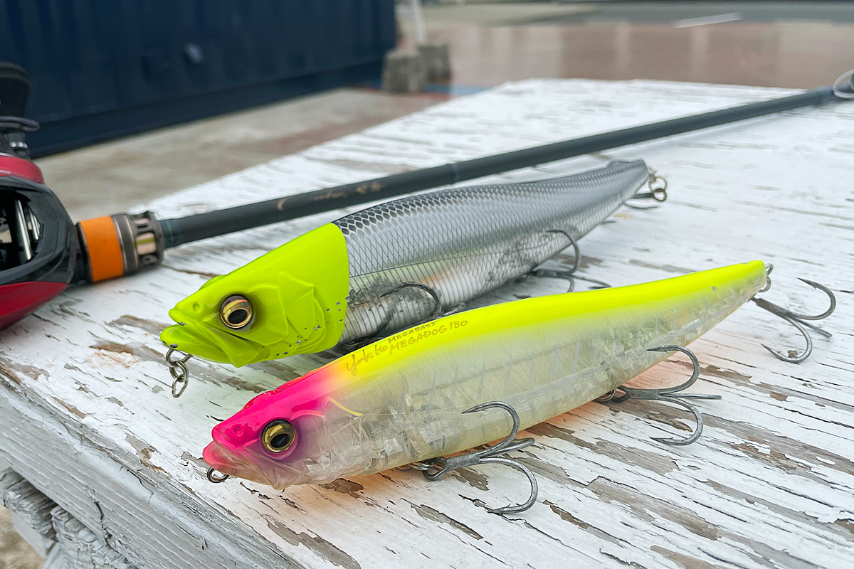 メガドッグマスターついに登場！ | Megabass-メガバス