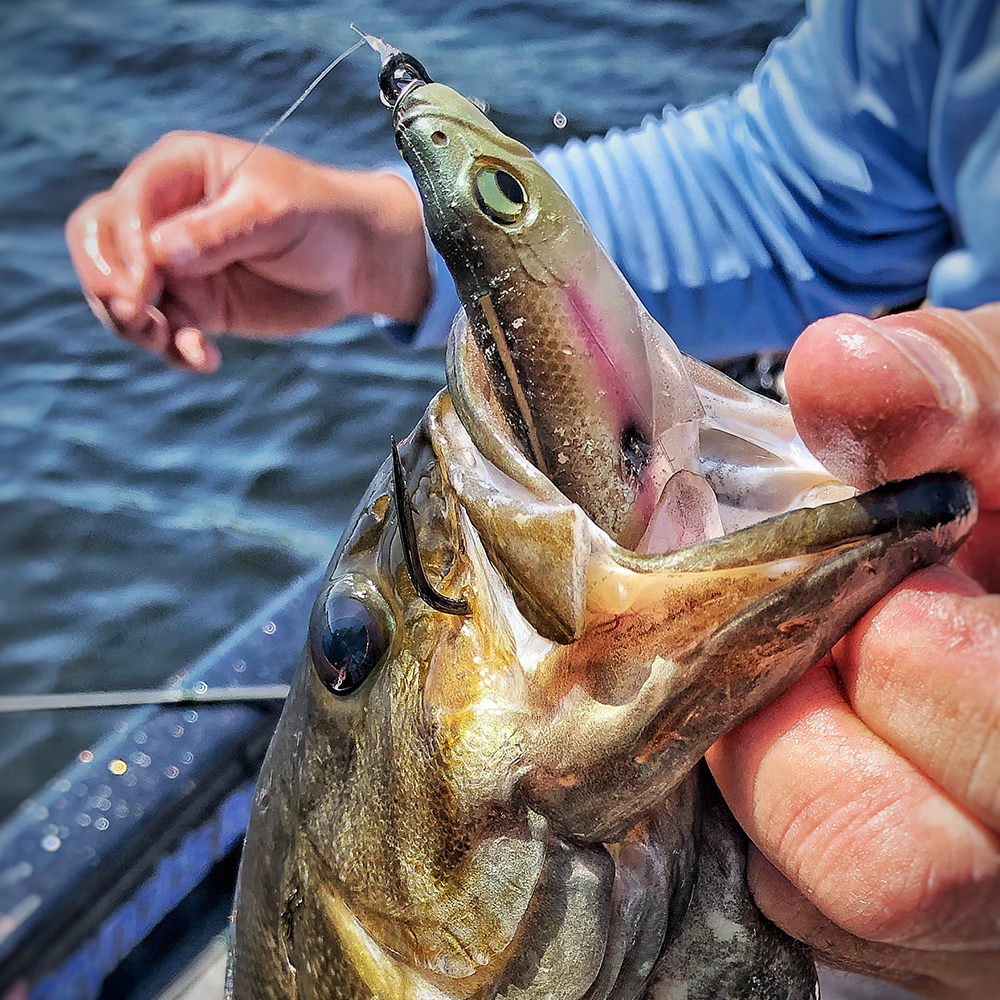 MAGDRAFT FREESTYLE | Megabass-メガバス