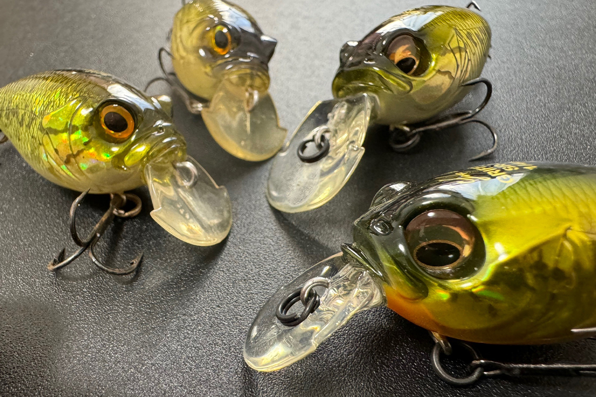 GRIFFONついに3代目へ！ | Megabass-メガバス