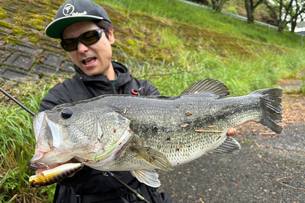 POPXシリーズがアツイ！！ | Megabass-メガバス