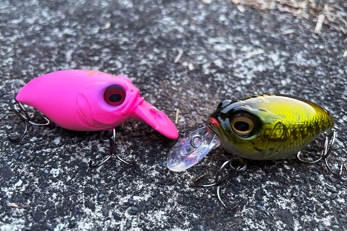 いよいよ登場！！～今春リリース3代目グリフォン～ | Megabass-メガバス