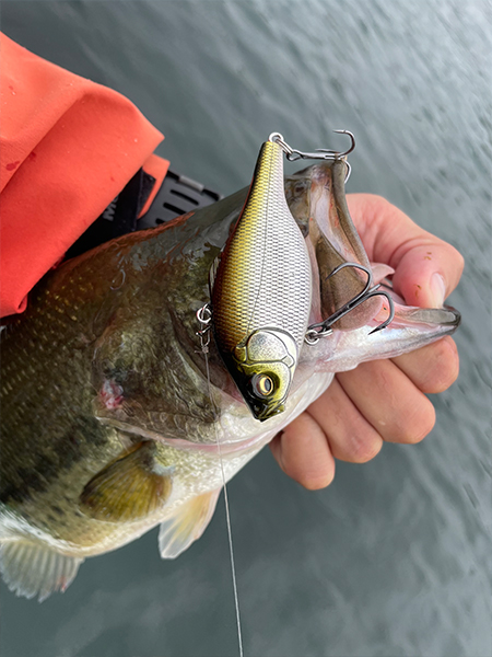 巻物の秋到来！～リニューアルしたバイブレーションX～ | Megabass