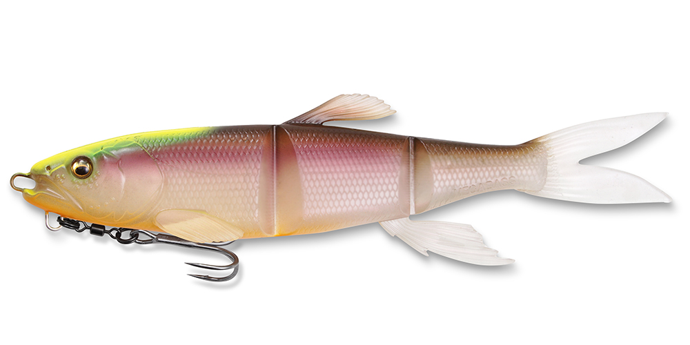 MAGDRAFT 鰣 HASU RAVER(S) | Megabass-メガバス