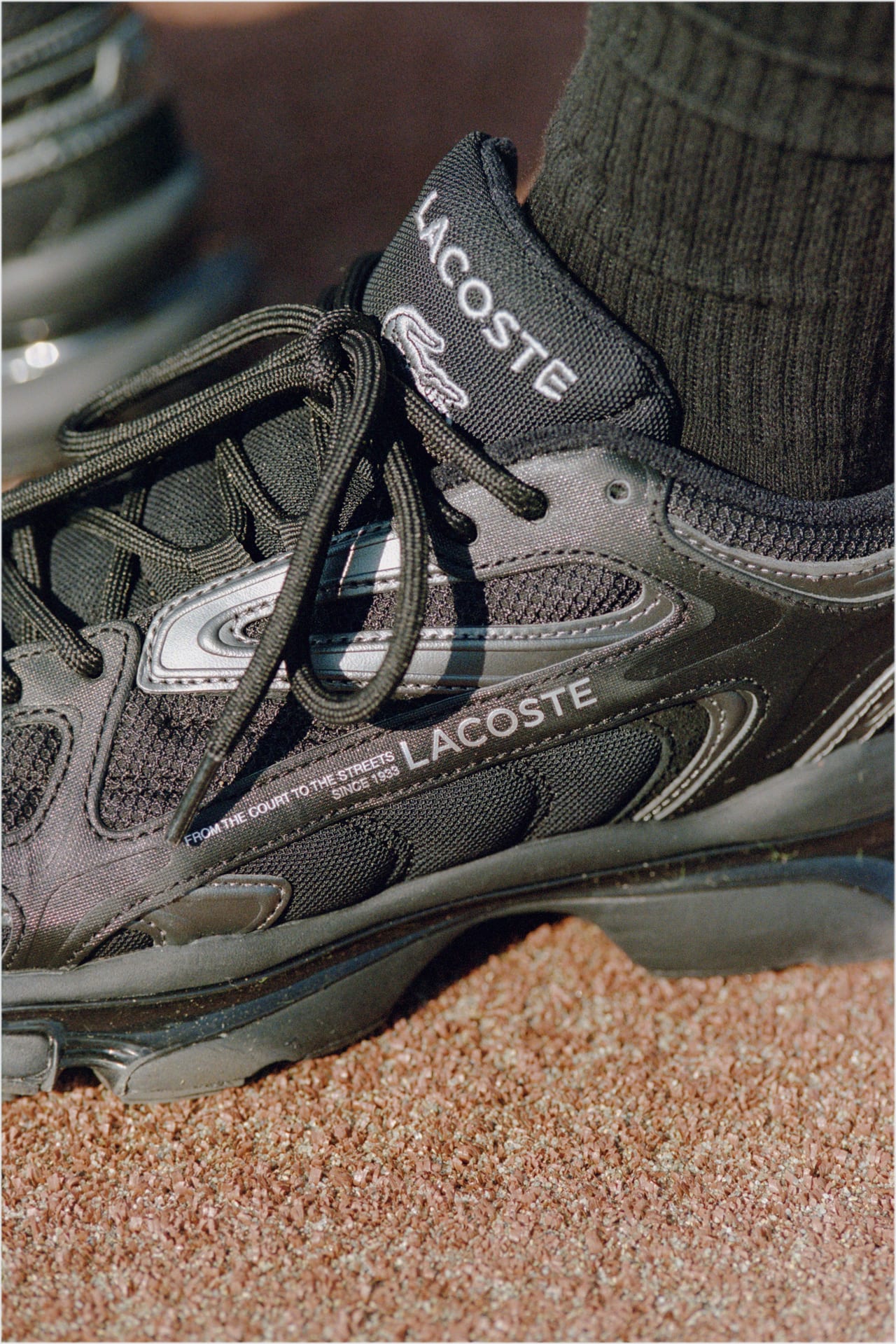 ラコステ」の人気スニーカーを限定カラーで！「アダム エ ロペ」が