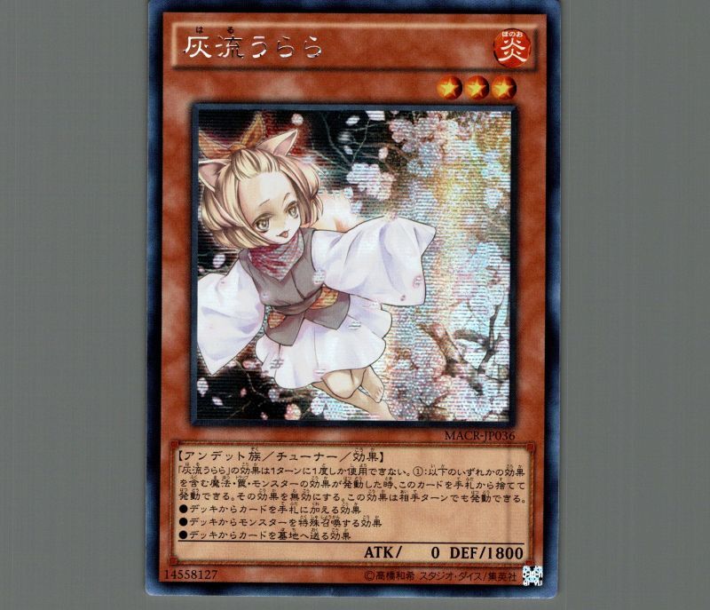 灰流うららアジアシークレット