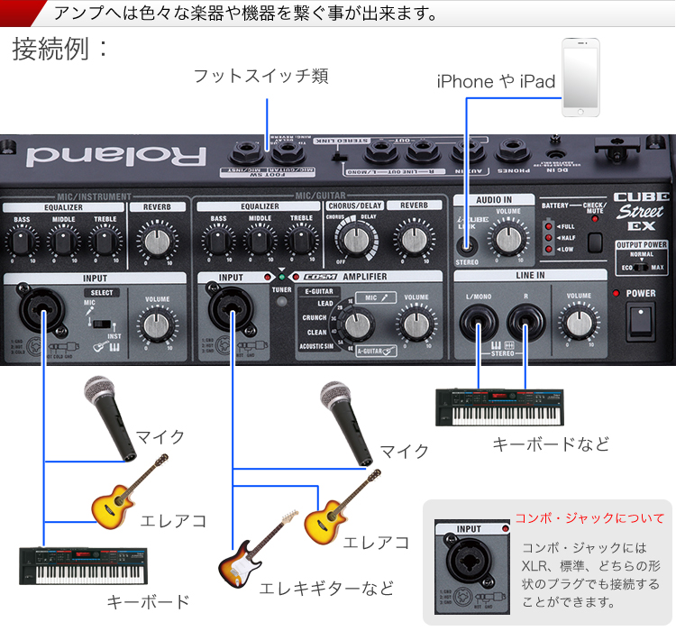 Roland ローランド CUBESTREET EX有線マイク2本セット(ソフトケース