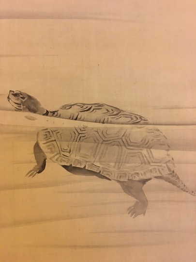 円山応挙 親子亀図｜古美術・掛け軸の販売・買取・鑑定-松本松栄堂