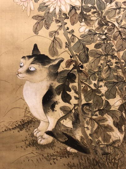 Kurokawa Kigyoku Cat｜Matsumoto Shoeido | Japanese Paintings and