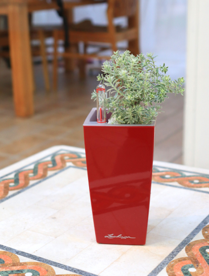 ミニキュービ | レチューザ・プレミアム | 松尾貿易商会