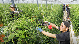 KN-510Aフロアの製品詳細ページ | 釘打機 フロア用ネイラ | マックス