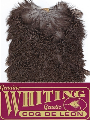 whiting-farms-coq-de-leon-hen-