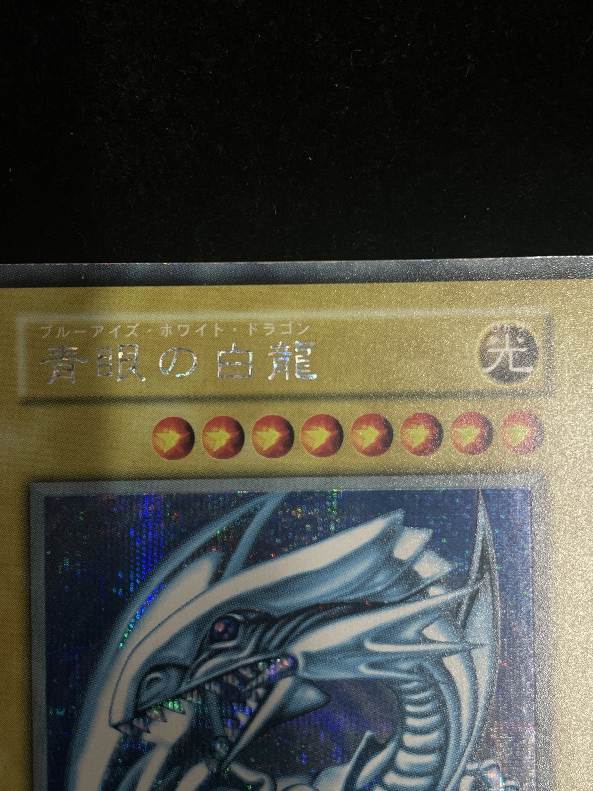 状態C】青眼の白龍 (初期) [シークレット] {-} - magi通販【遊戯王