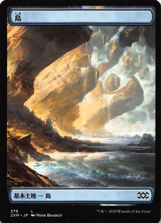 テラスタルフェスex SAR】サンダースex 209/187 - マナソース