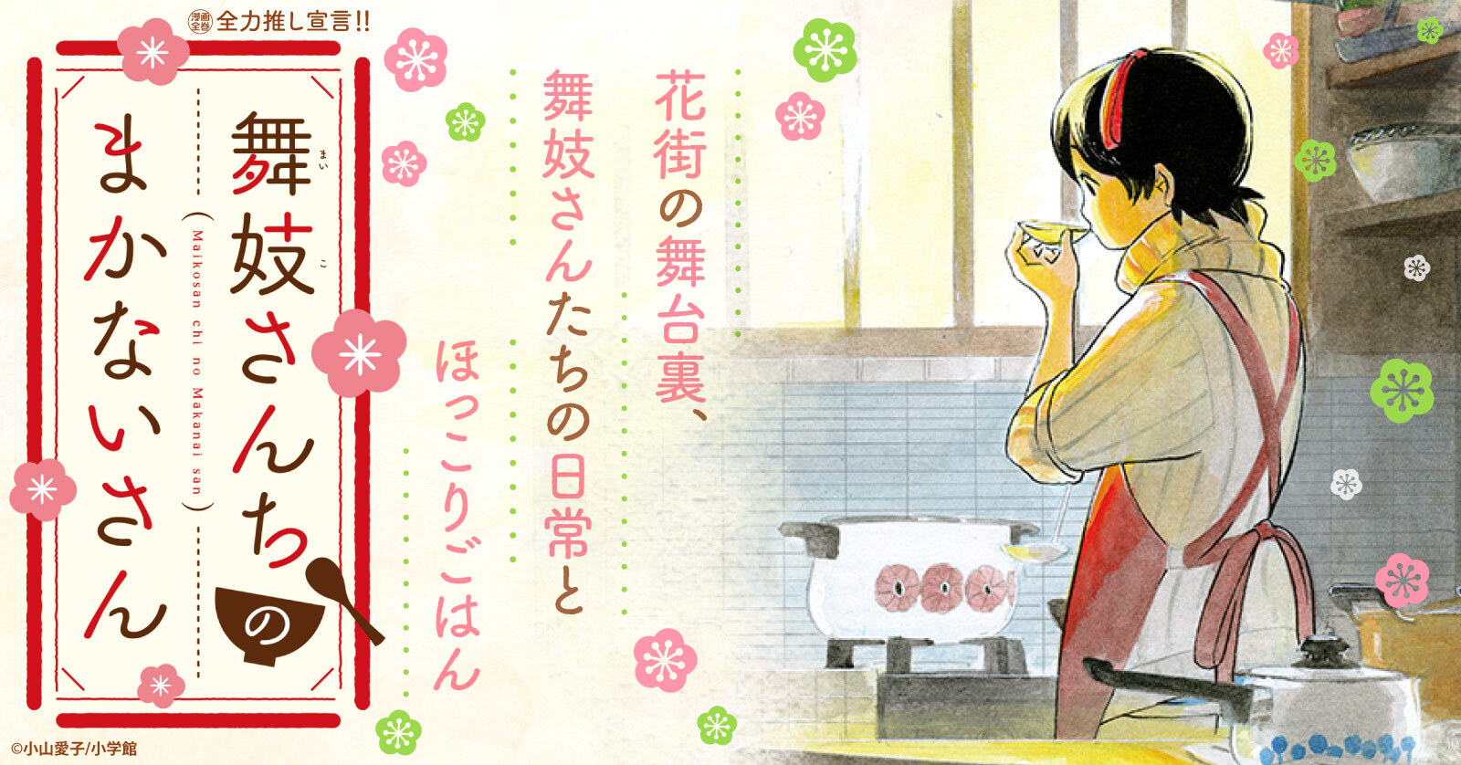 舞妓さんちのまかないさん 30 冊セット 全巻 | 漫画全巻ドットコム