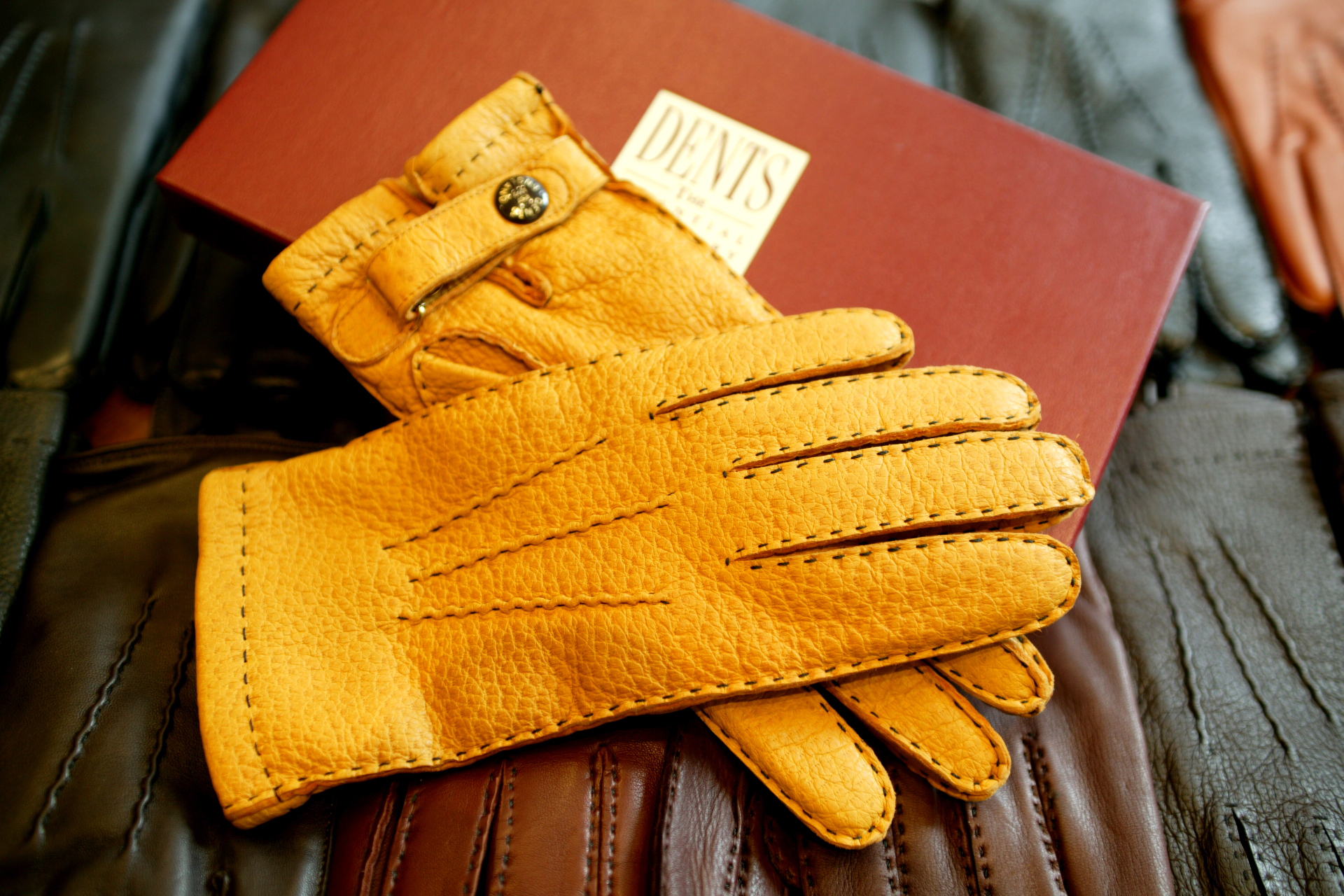 15-1564 DENTS Peccary and Cashmere lining Gloves | Mashimo Onlineshop