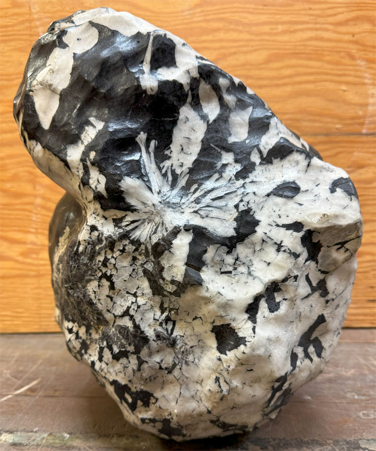 菊花石（きっかせき）の販売なら増樹です。