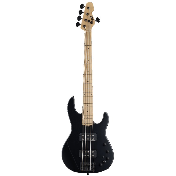 ESP(イーエスピー) ／ AP-SL5 M／BKS Black Satin Hard Maple FB