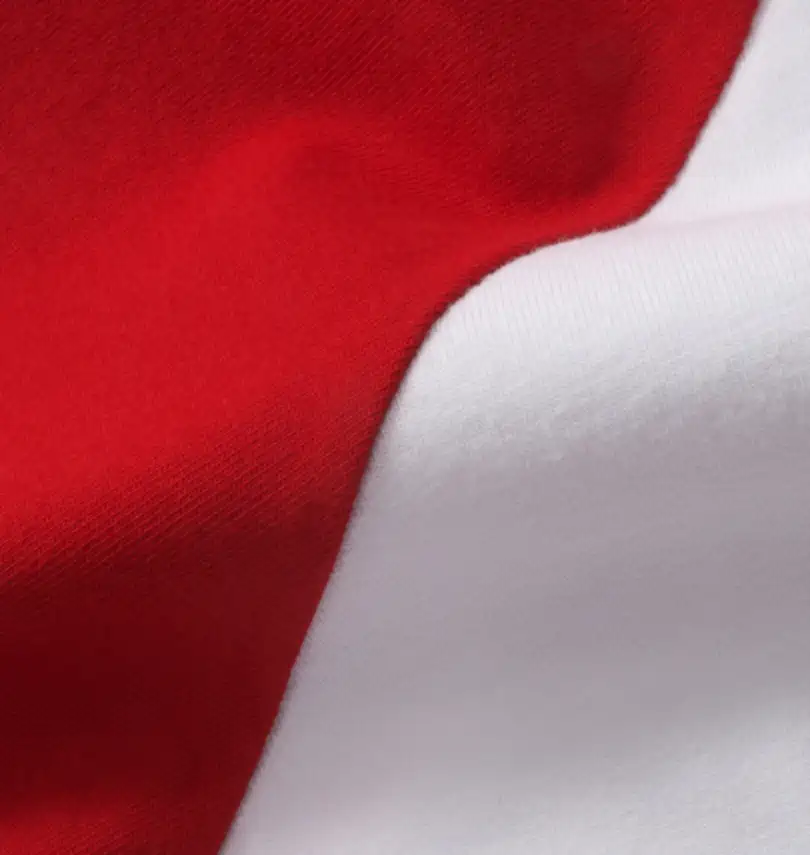 SOUL SPORTS × NJPW ライオンマークラグラン半袖Tシャツ | Japanese