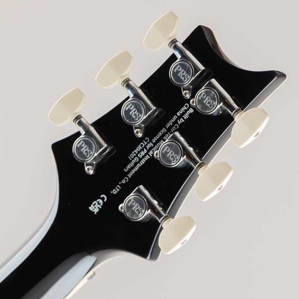 SE Hollowbody Standard/Dog Hair Smokeburst【2025】: エレキギター