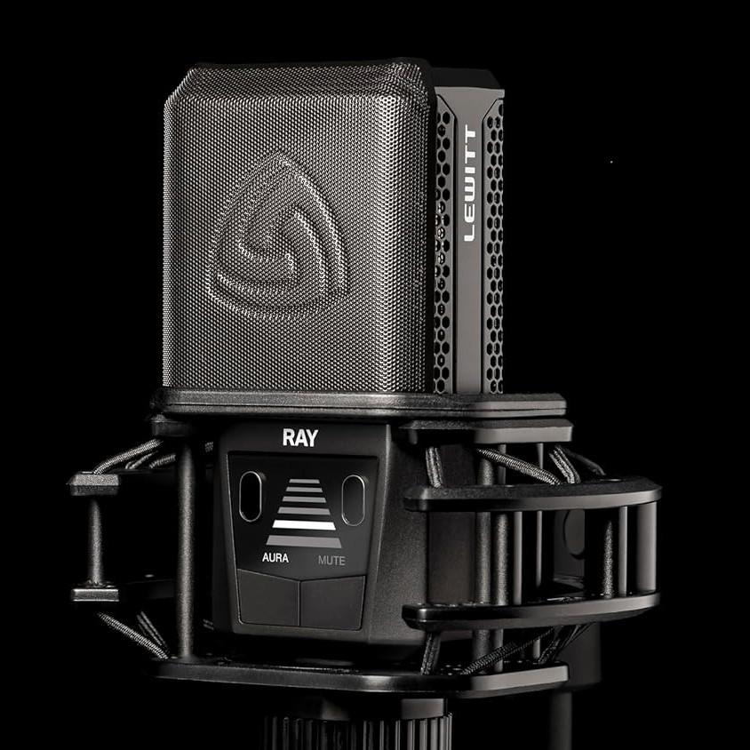 数量限定特価》LEWITT RAY コンデンサーマイク ルーイット: PA