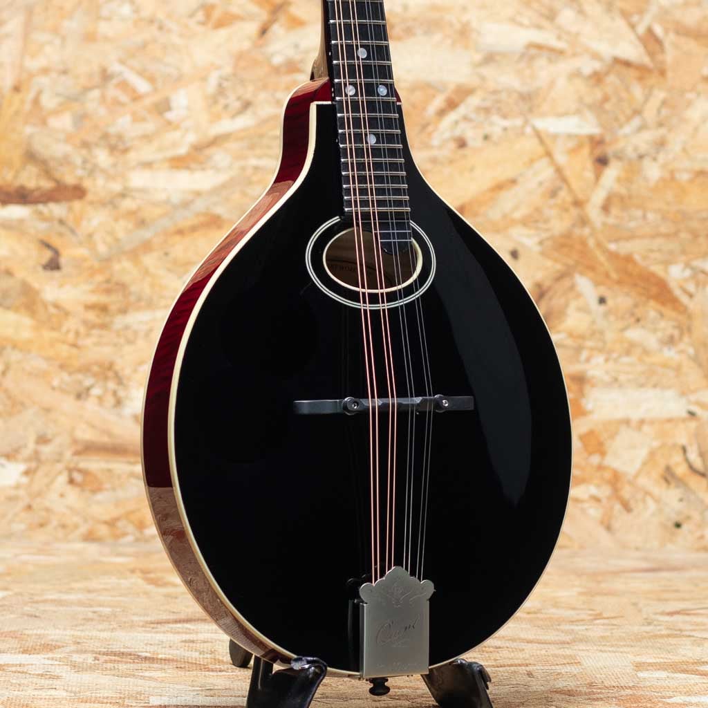 Flat Mandolin（フラットマンドリン）一覧 | | 三木楽器公式通販サイト