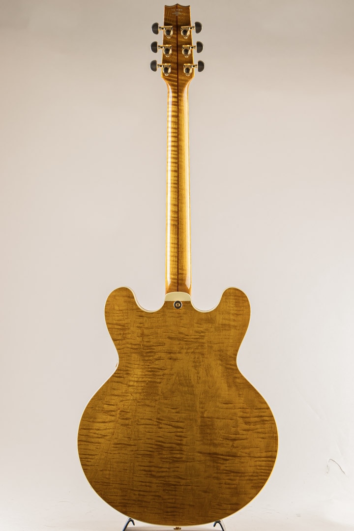 H-555 Amber: エレキギター｜三木楽器公式通販サイト