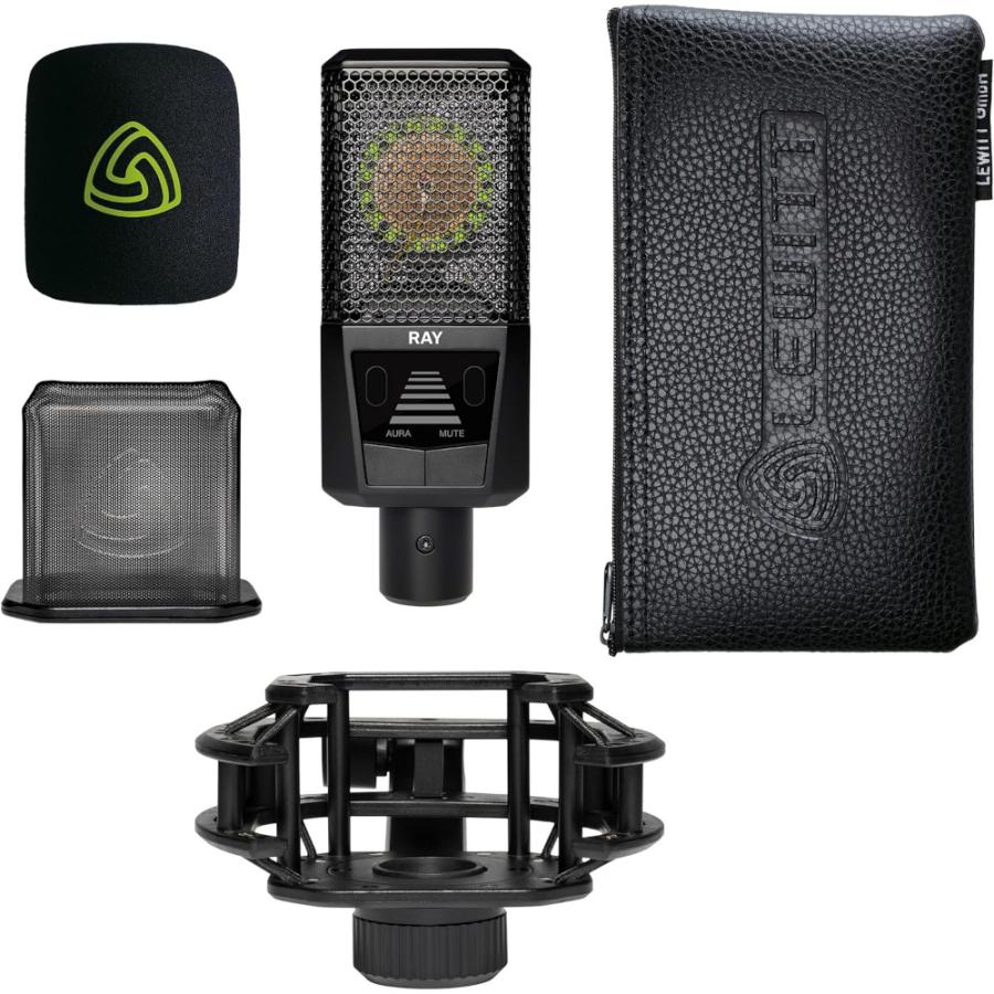 数量限定特価》LEWITT RAY コンデンサーマイク ルーイット: PA