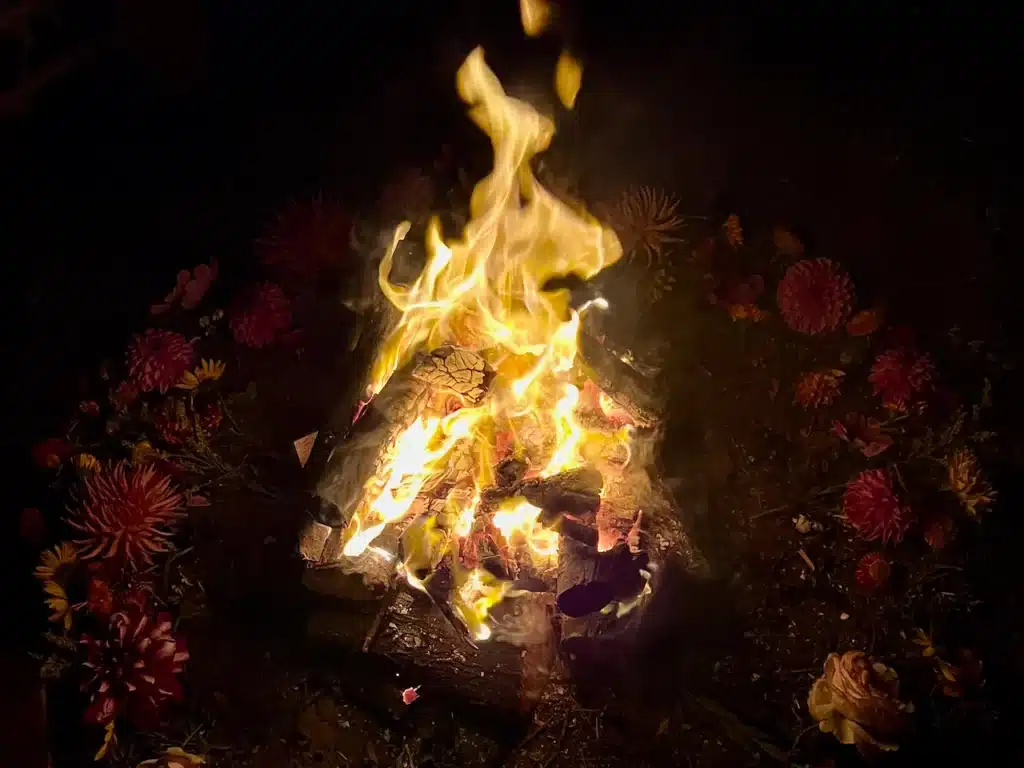 Solstice Campfire Resources - Milkwood