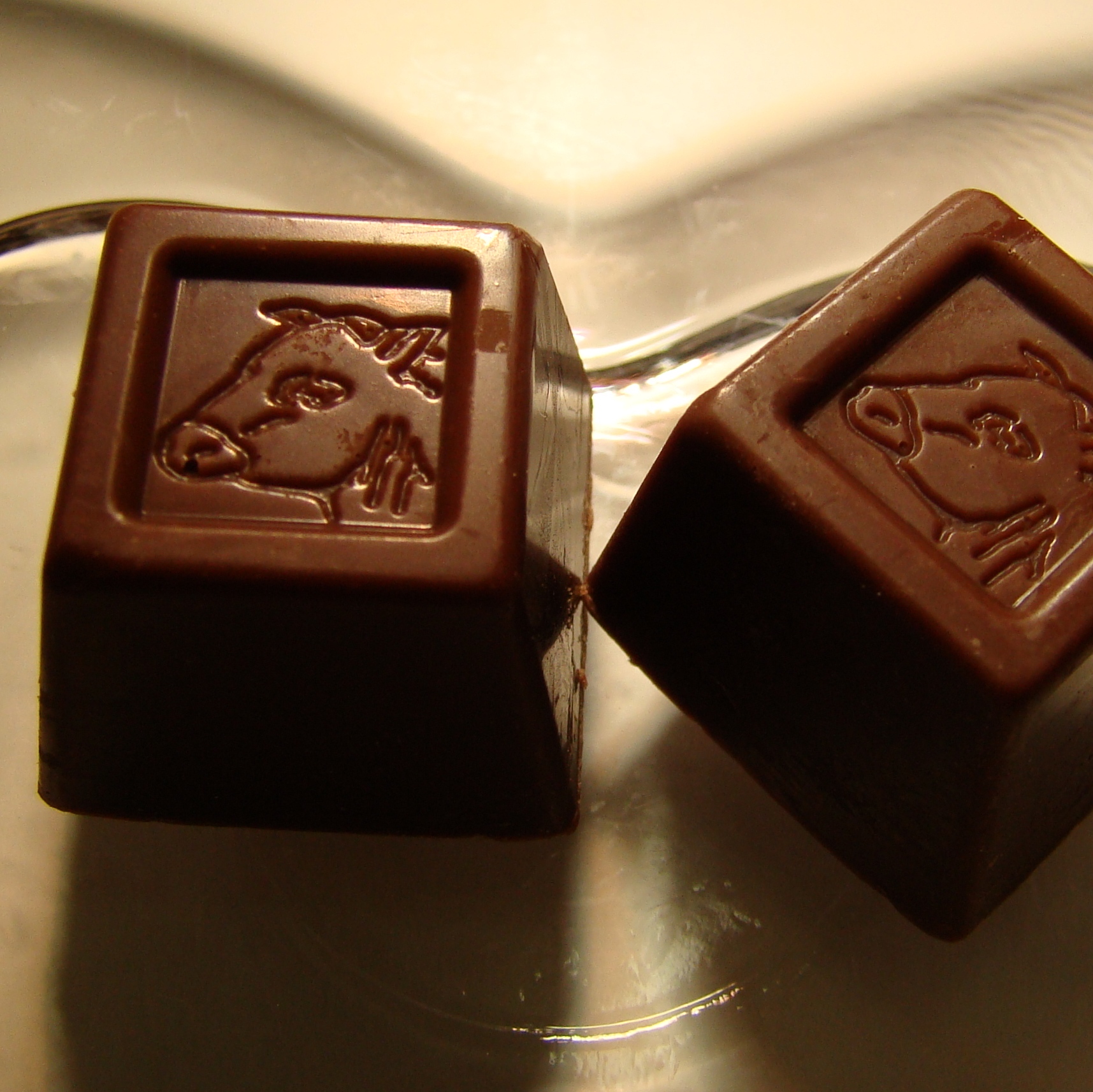 一口キャラメルチョコレート 商品詳細 蒜山 取寄スイーツ チョコレート