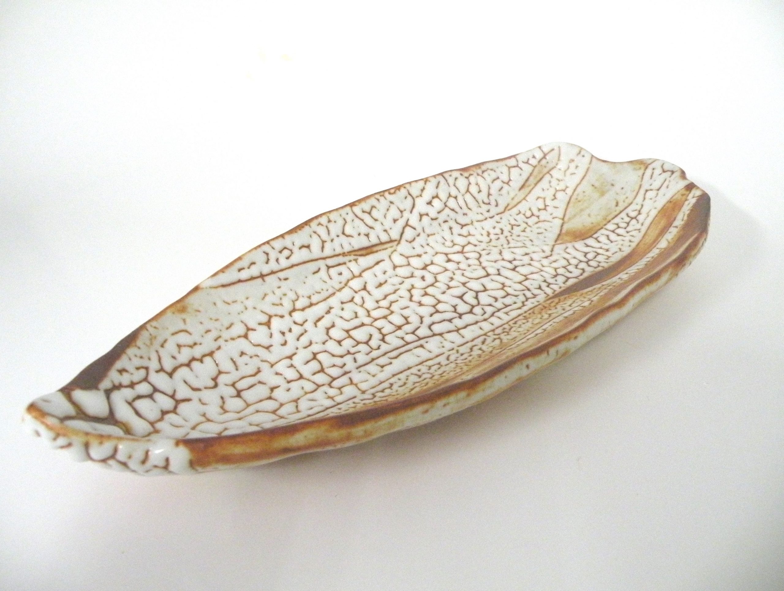 美濃焼伝統工芸品協同組合 | 赤志野梅花皮笹の葉皿