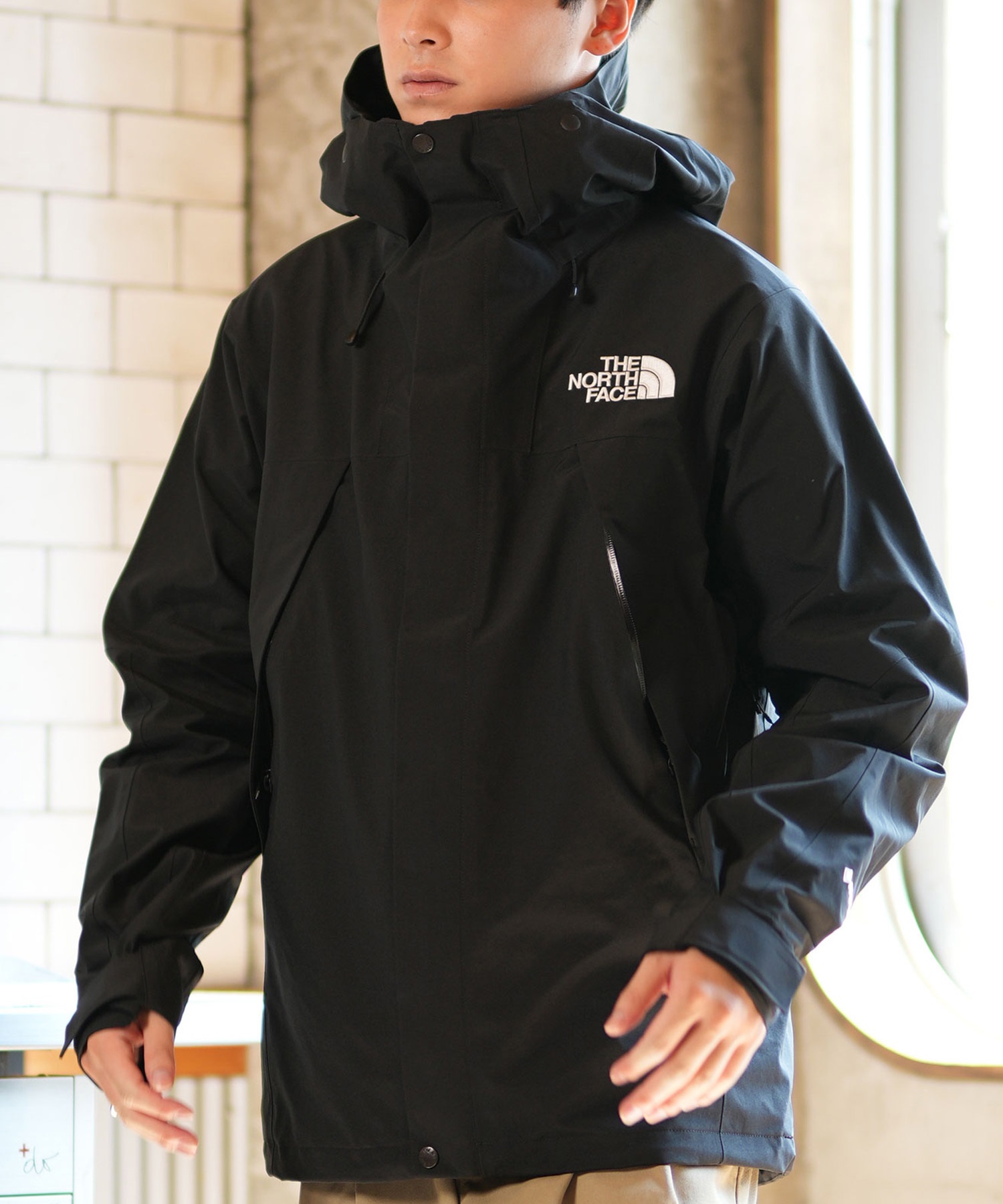 THE NORTH FACE ノースフェイス アウター メンズ 防水 防風 MOUNTAIN