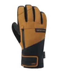 DAKINE ダカイン TITAN GORE-TEX SHORT GLV ゴアテックス スノーボード