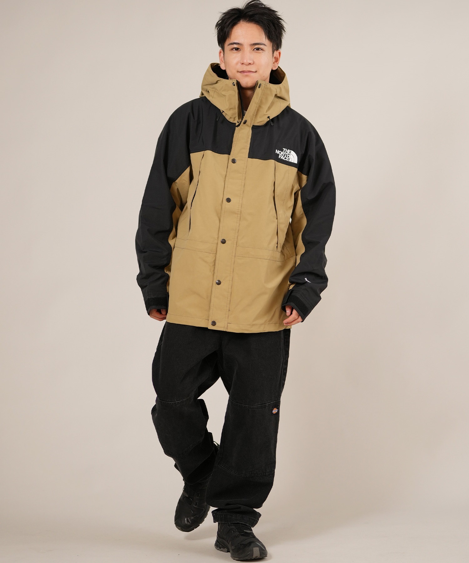 THE NORTH FACE ザ・ノース・フェイス マウンテンパーカー メンズ GORE