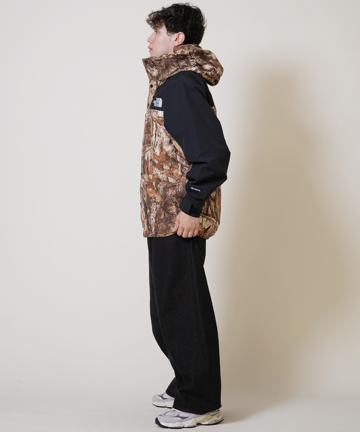 THE NORTH FACE ザ・ノース・フェイス マウンテンパーカー メンズ GORE