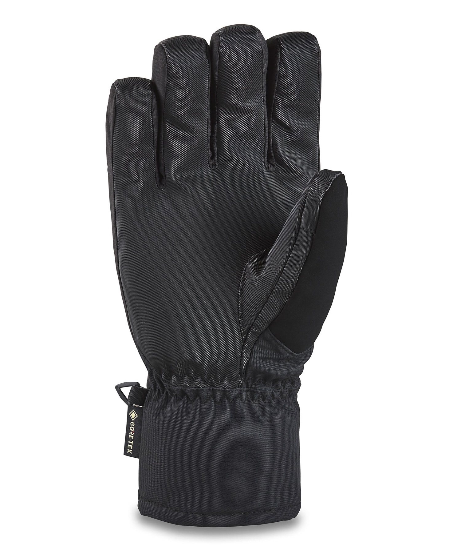 DAKINE ダカイン TITAN GORE-TEX SHORT GLV ゴアテックス スノーボード