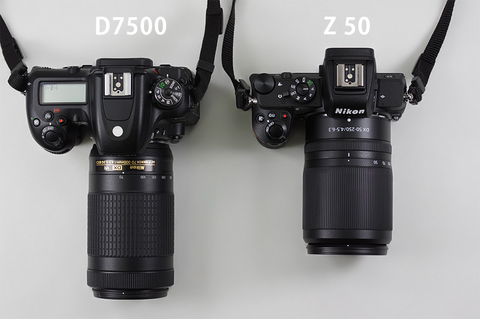 Nikon Z 50 実写レビュー！- 初めてのニコンミラーレス一眼カメラに挑戦 -