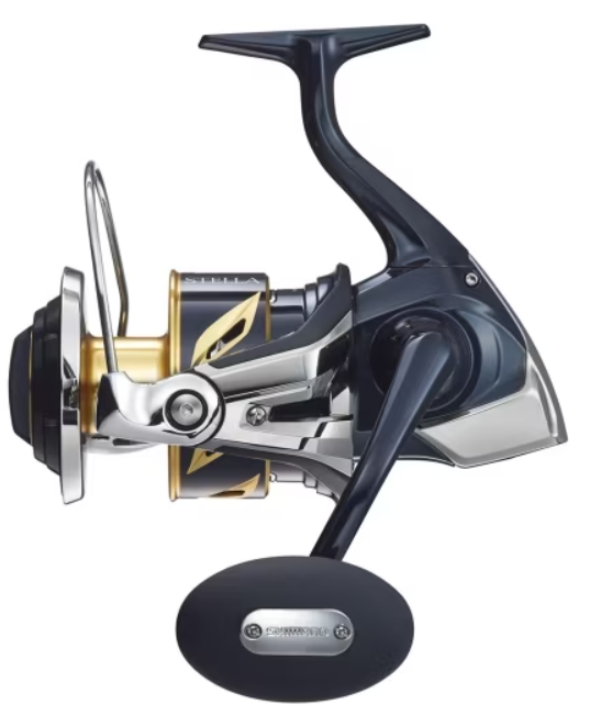 ▷ Shimano Stella 6000 SW C XG Reel | Online Sale【Mv Spools】