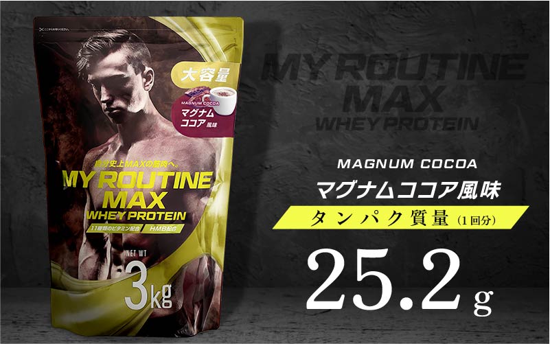 国産プロテイン10kg激安 マイプロテック プロテイン チョコ味RG 送料