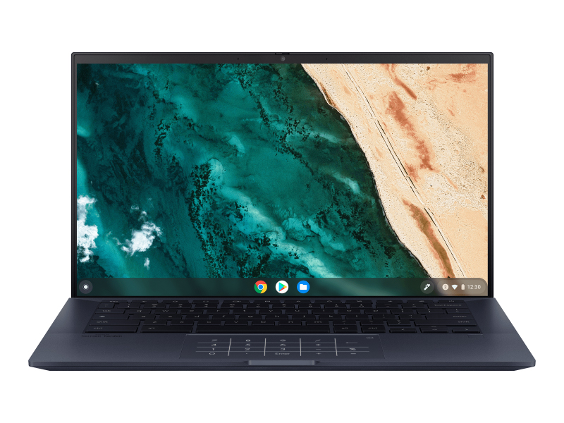 Asus Chromebook CX9 Series - Notebookcheck.net External Reviews