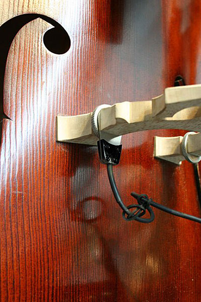 David Gage Instruments Introduces Realist LifeLine Double Bass