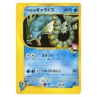 イブキのカイリュー ○ [ポケモンカード☆VS] 049/141 買取 | ポケモン