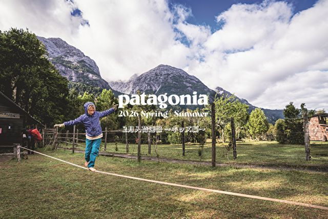 アブガルシア(Abu Garcia) ファンタジスタ ヤバイ FYNC-65L MGS