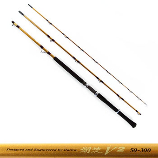 ダイワ(Daiwa) 潮流V2 50-300 05288786｜アウトドア用品・釣り具通販は
